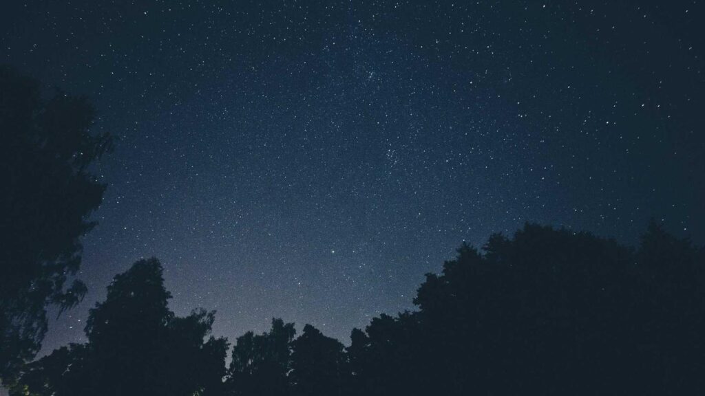 南大沢駅 ランチ 和食を堪能できるお店