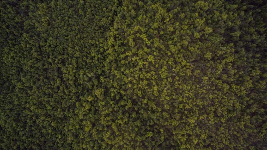 美容家電 おすすめ 2025 おすすめの高機能ヘアドライヤーは？