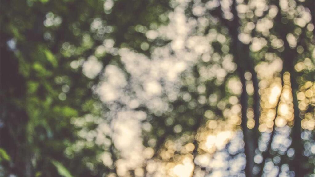 三鷹台駅 ランチ 三鷹台駅ランチの価格帯と傾向