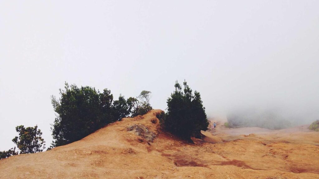 下北沢 居酒屋 おしゃれ こけら：新鮮な海鮮を堪能できる居酒屋