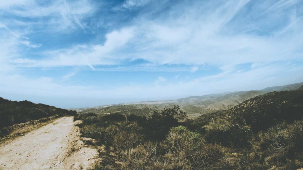 宇都宮 餃子 おすすめ 正嗣（まさし）：餃子一本勝負の専門店