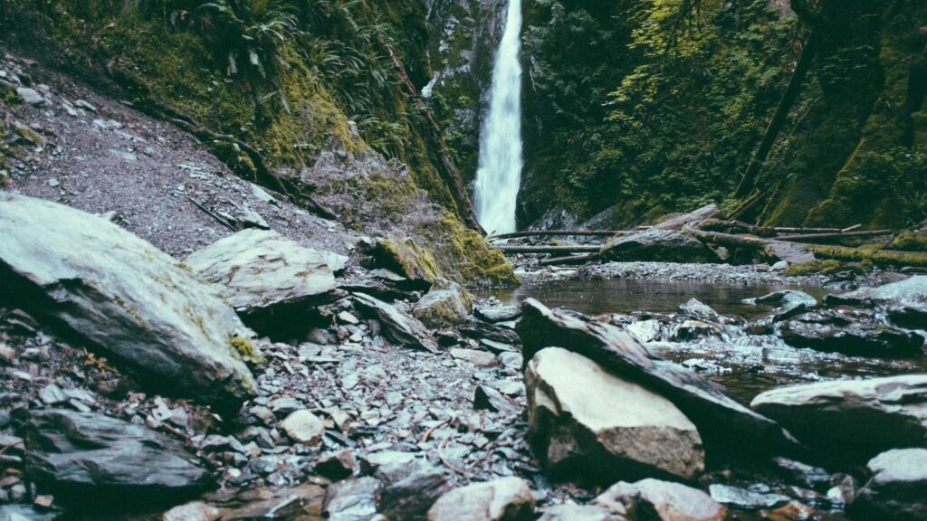 品川 居酒屋 個室 産直鮮魚と47都道府県の日本酒の店 個室 黒潮 品川本店
