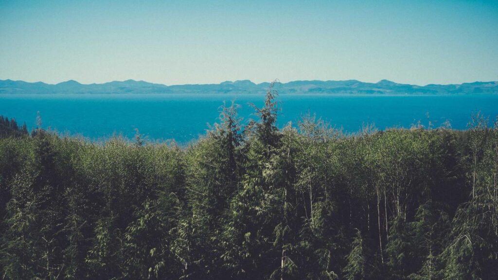 格安SIM 比較 おすすめ データ容量別のおすすめ格安SIMは？