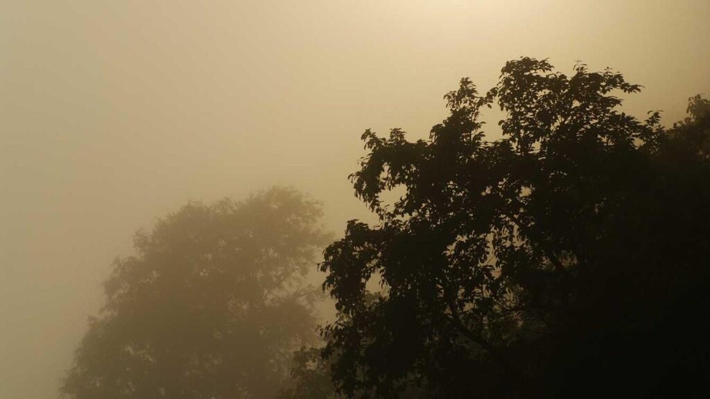 美容家電 おすすめ 頭皮ケア FAQ