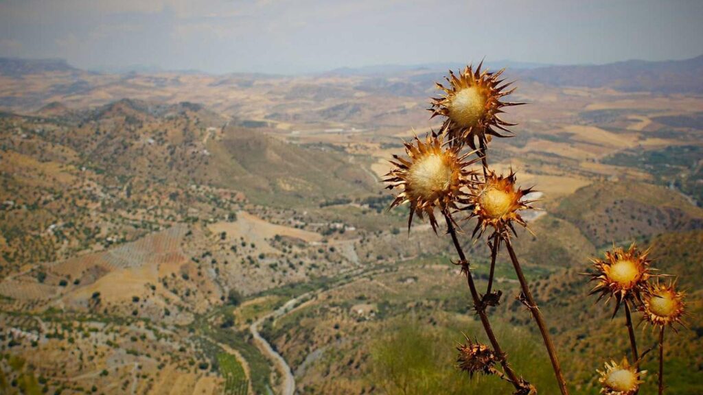 上北沢駅 ラーメン まとめ