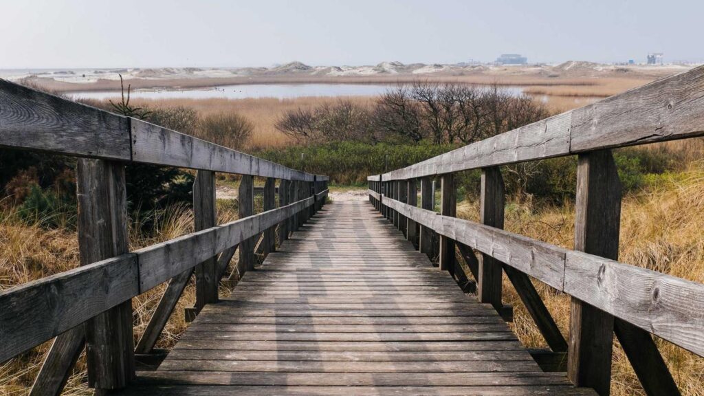 格安SIM 比較 データ容量別 20GBの大容量プランで最安なのは？