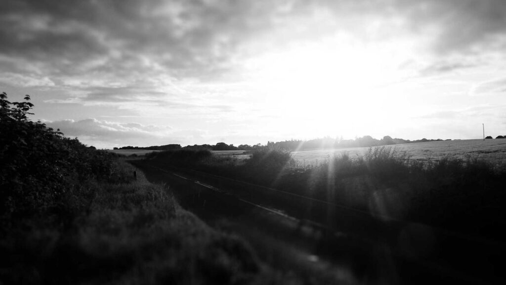 中野 定食 コスパ 4. やよい軒 中野店