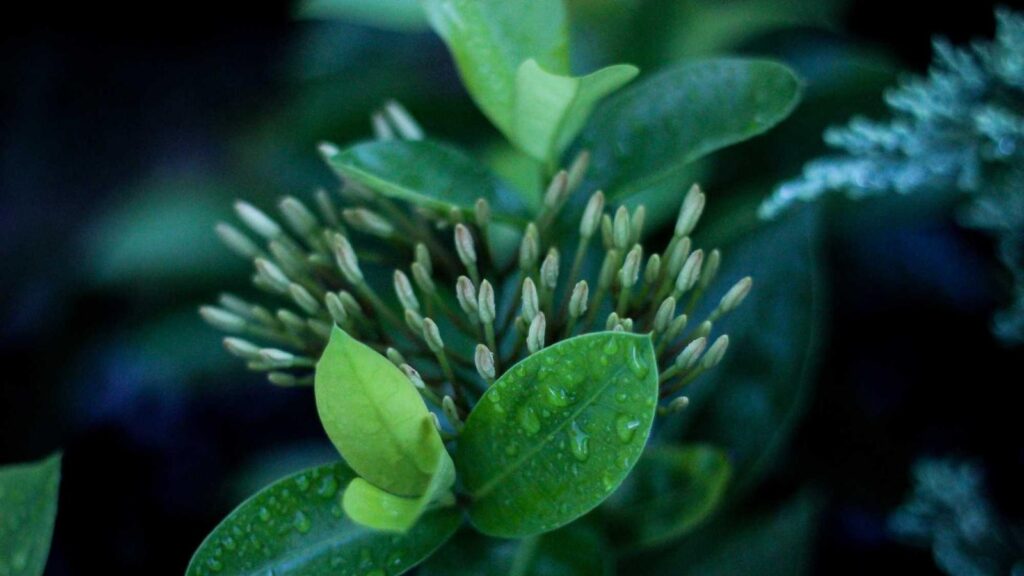 霞ケ関駅 ラーメン まとめ