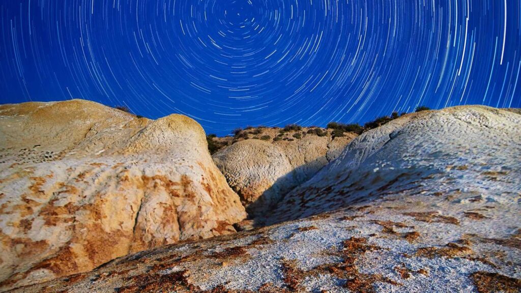 笹塚 ランチ 6. ロビン