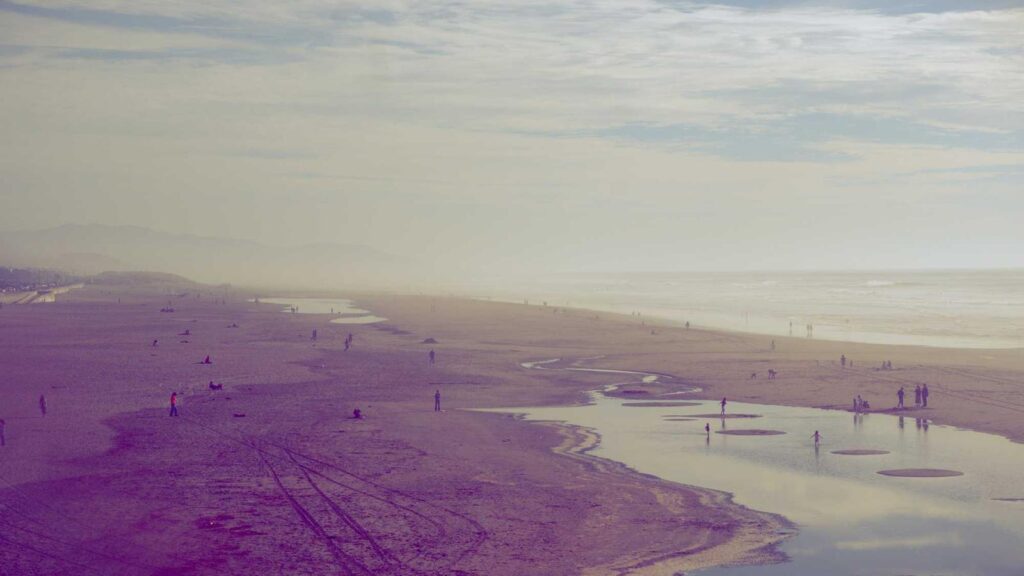 南新宿駅 ランチ まとめ