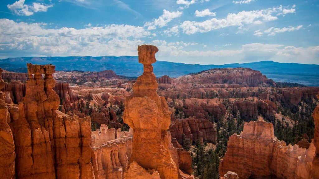 梅ケ丘駅 ラーメン せい家 梅ヶ丘店