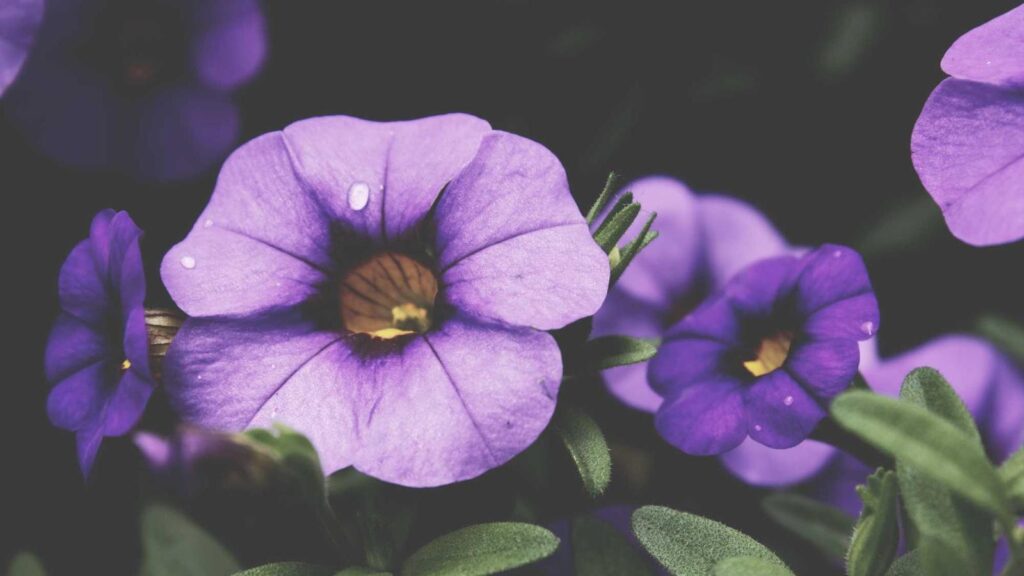 上野御徒町駅 焼肉 USHIHACHI 秋葉原店