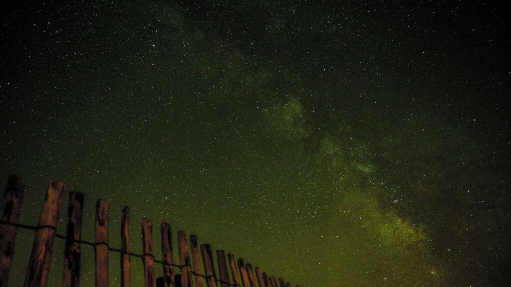 九段下駅 居酒屋 味仙楼