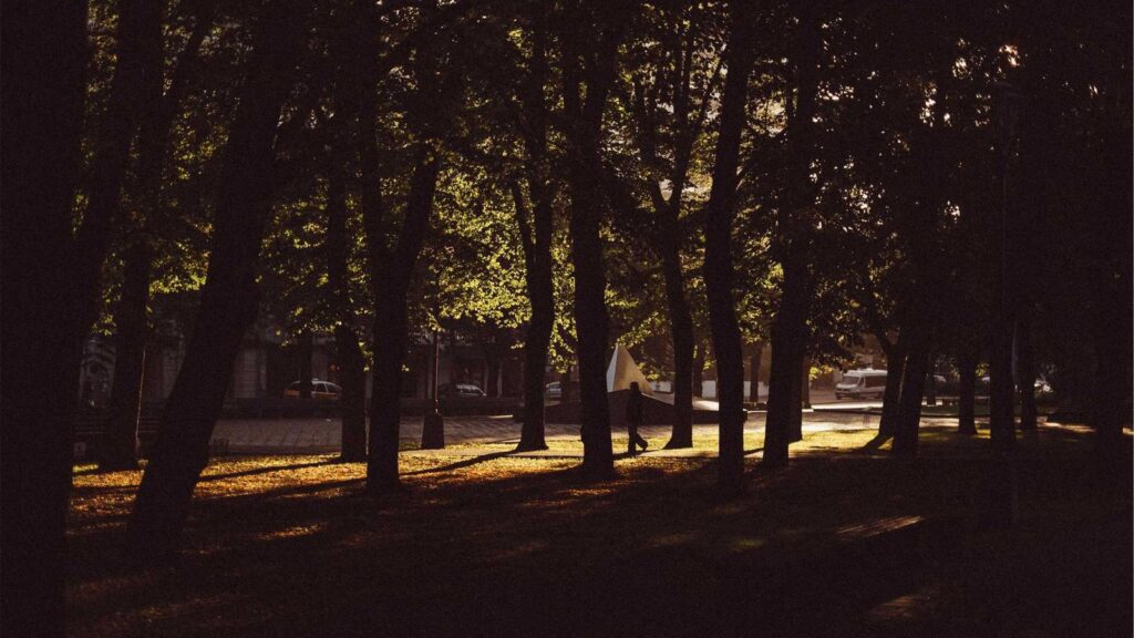 等々力駅 カフェ Cafe Valley 等々力