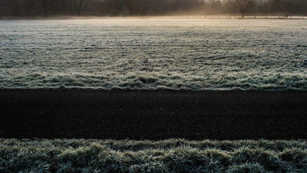 入谷駅 焼肉 焼肉ホルモン 千里馬