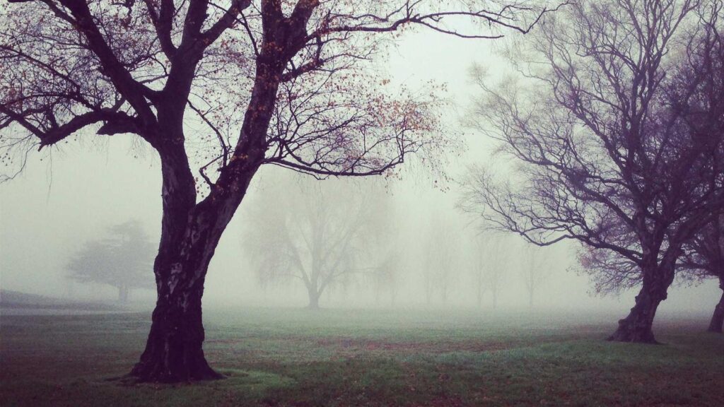 ポケットWiFi 比較 料金 ポケットWiFiの料金を比較する際のポイントは何ですか？