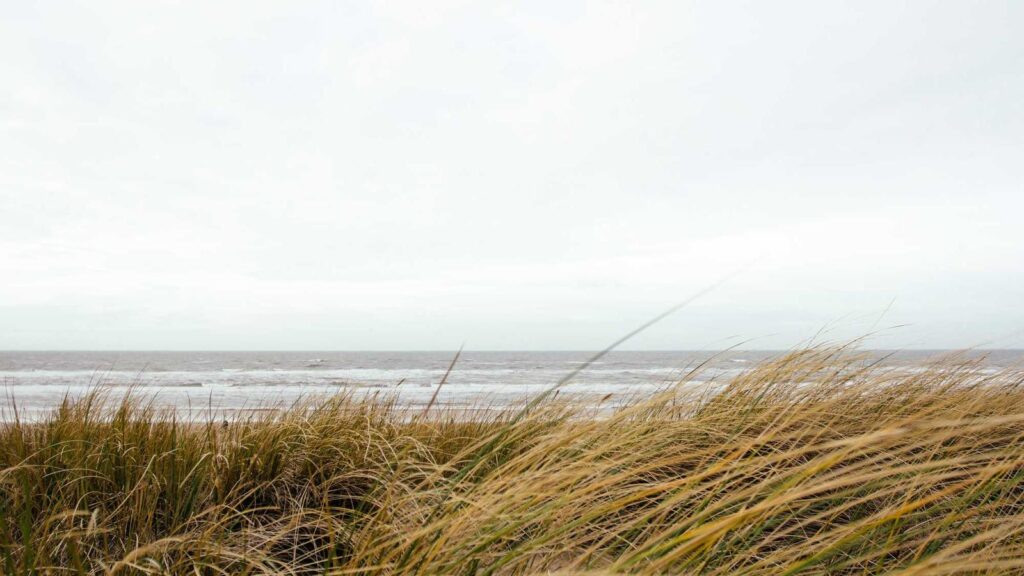 井の頭線沿い 焼肉 まとめ