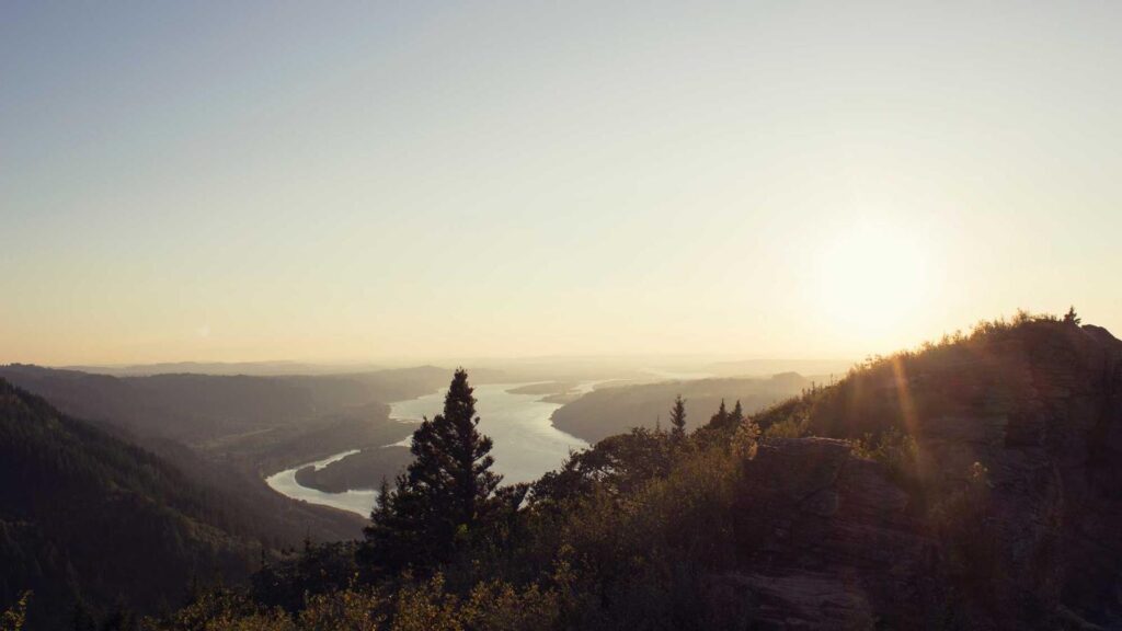 格安SIM 比較 データ容量別 自宅にWiFiがある場合、どのデータ容量が適切ですか？