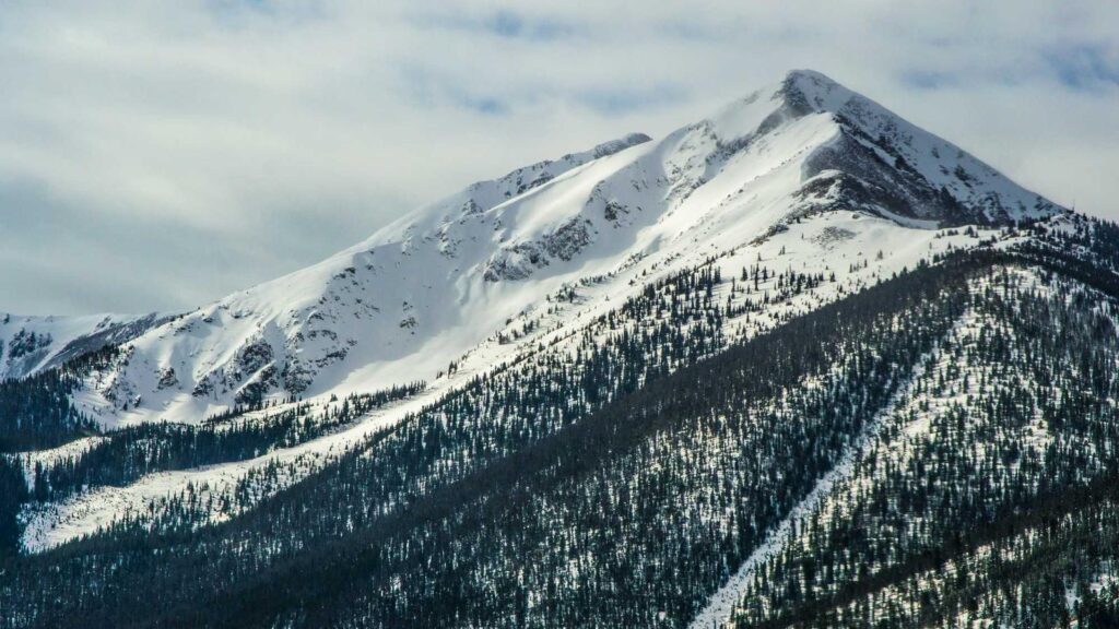 中野坂上駅 カフェ 用途別に見る中野坂上駅周辺のカフェ選び