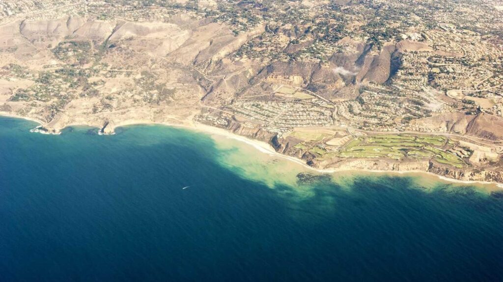 芦花公園駅 ランチ 麺処 しろくろ：こだわりのラーメン店