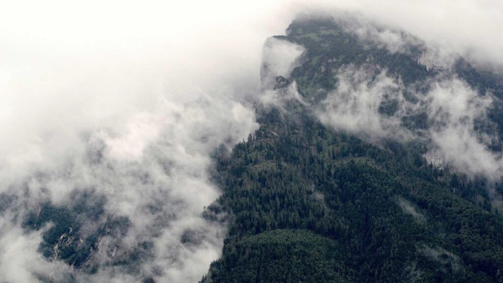 若松河田駅 ランチ ラーメン店