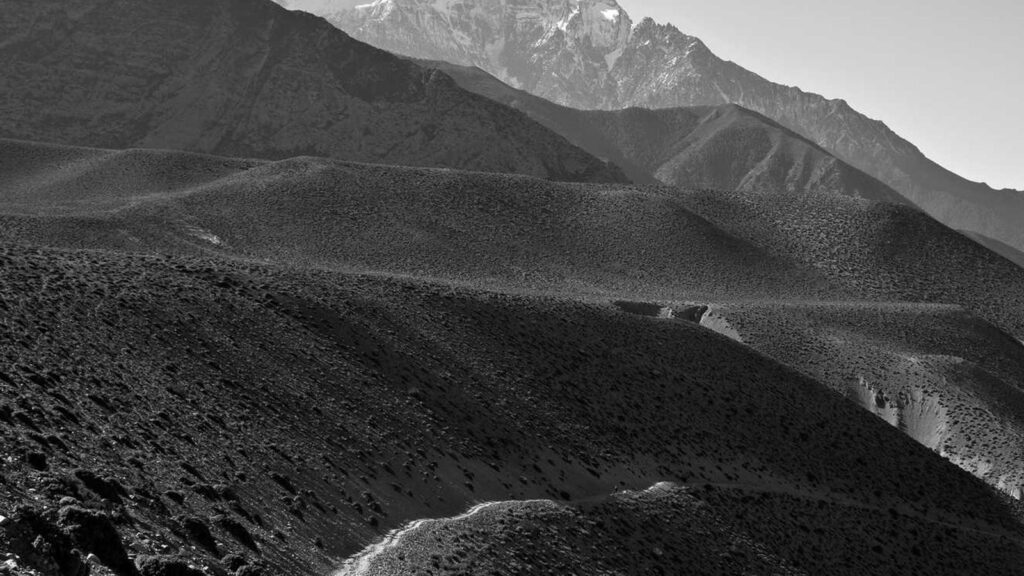 瑞江駅 ランチ 4. くいもの屋わん 瑞江駅南口店