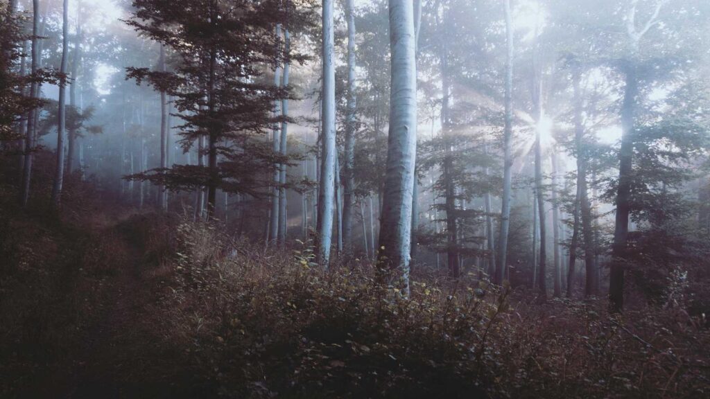 六本木 和食 接待 現代割烹 Terra（テラ）