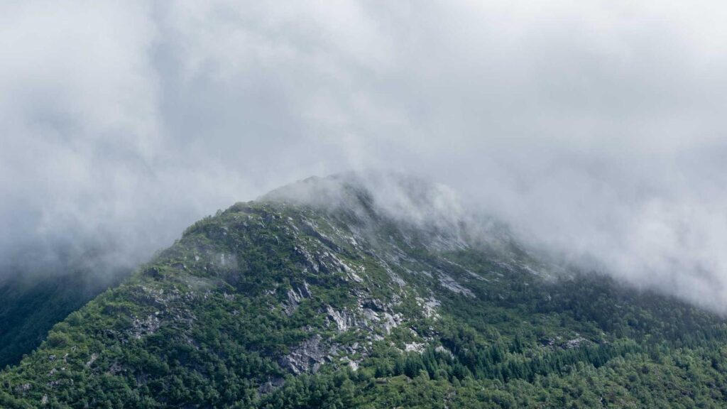 神楽坂駅 ラーメン つじ田 奥の院：煮干しラーメンの専門店
