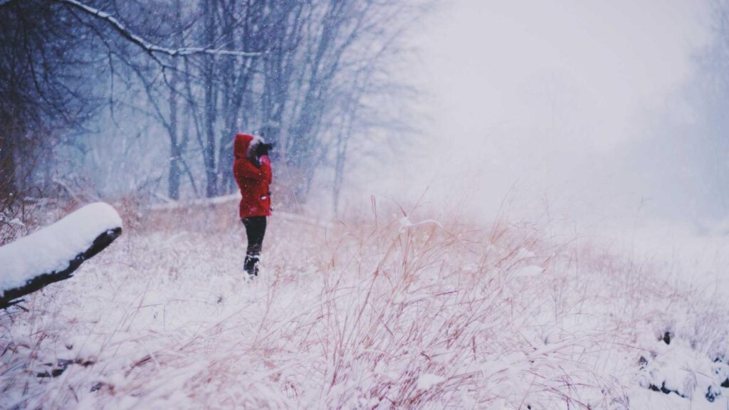 上石神井駅 ラーメン 味噌ラーメン専門店 味噌一 上石神井店