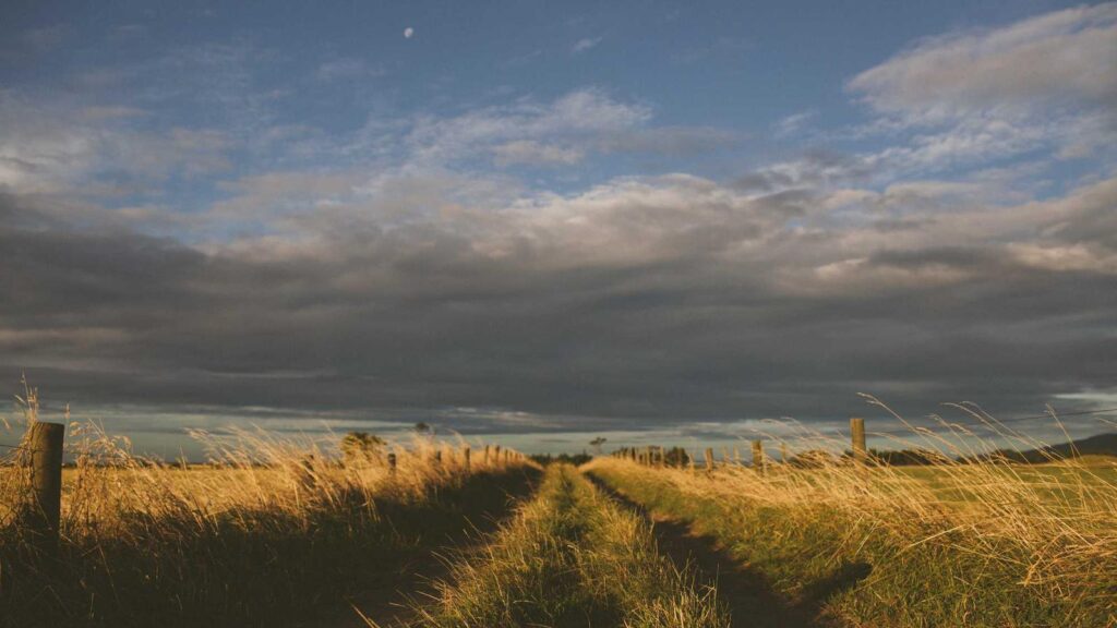 葛西駅 ラーメン まとめ