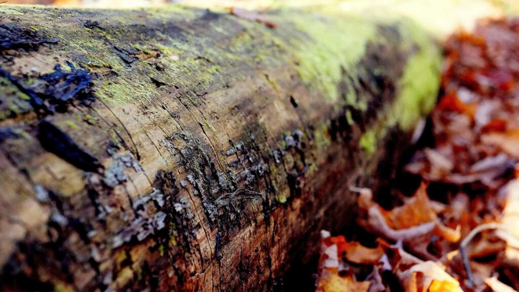 電力会社 乗り換え おすすめ 電力会社を乗り換える手続きは難しいですか？