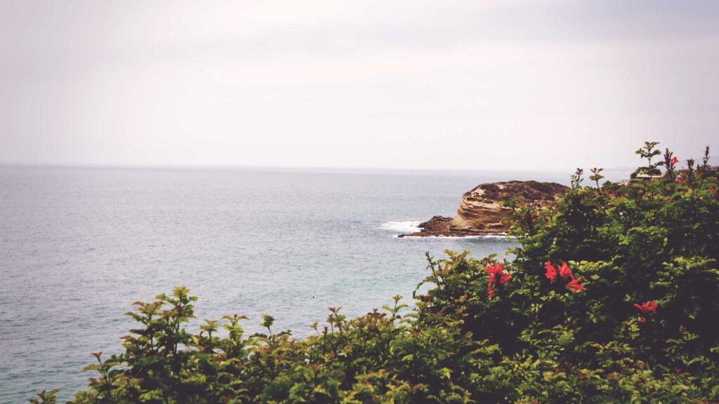 南千住駅 ランチ 目的別に選ぶ南千住駅ランチのポイント