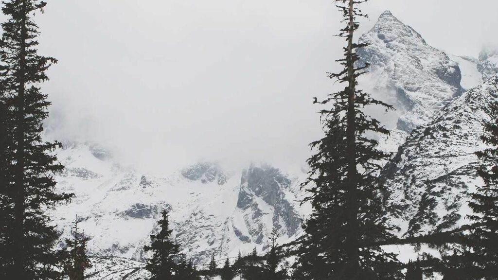 郡山市 ラーメン 新函館ラーメン きらら