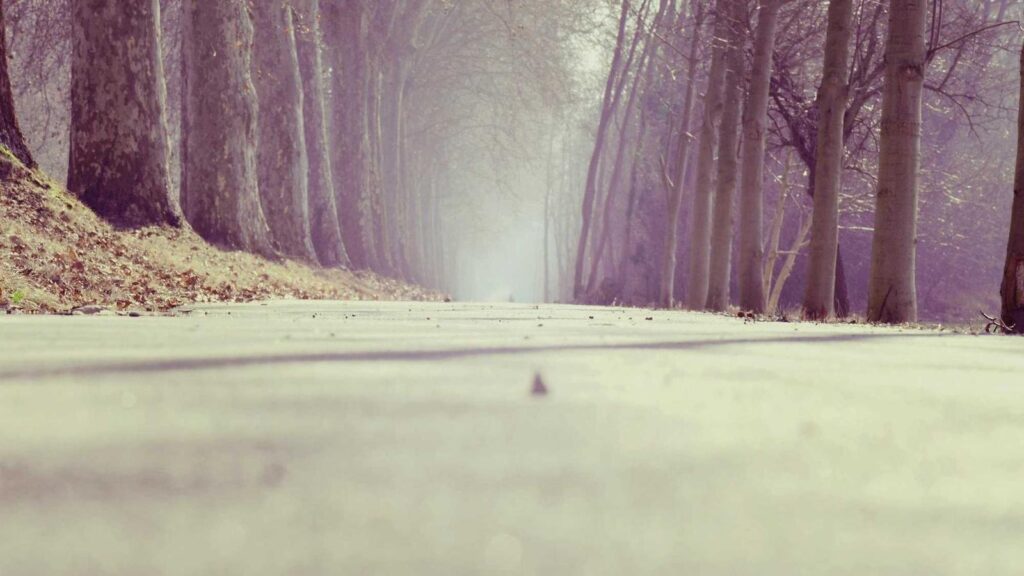 東陽町駅 カフェ カフェ・ベローチェ 東陽町店