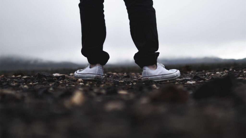 神楽坂駅 ラーメン 神楽坂家系らーめん もんたな：家系ラーメンの新星