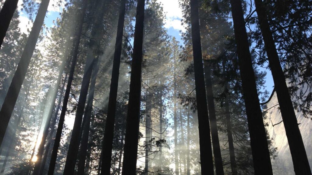片倉駅 ラーメン まとめ