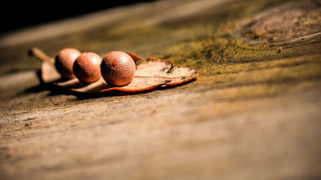 霞ケ関駅 居酒屋 8. 居酒屋「風」