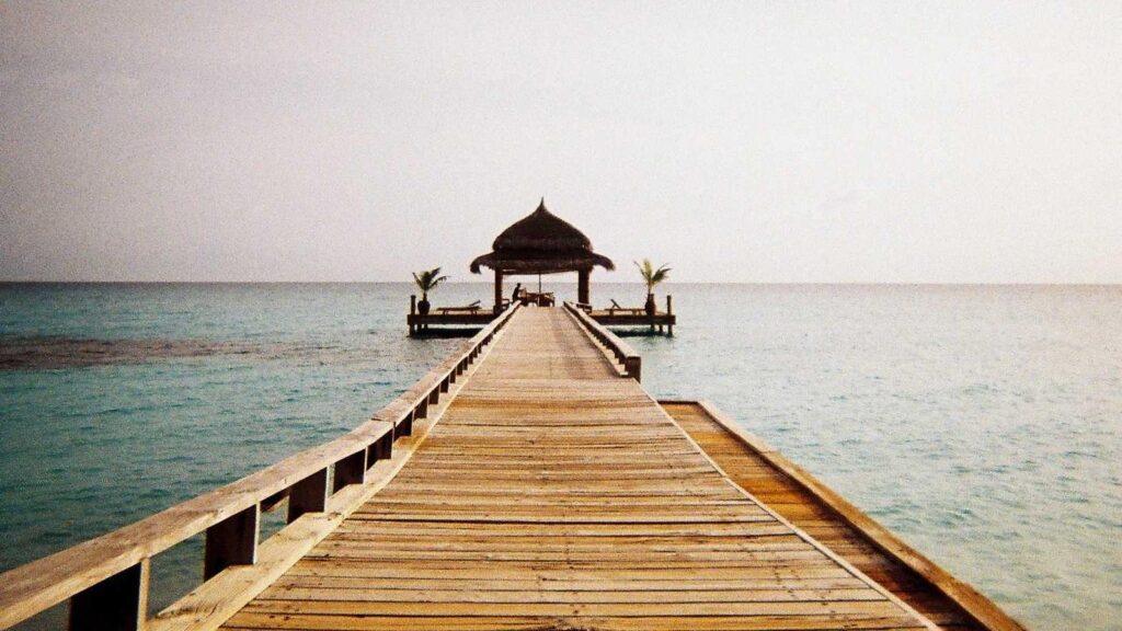 勝どき駅 ラーメン 勝どき駅ラーメンの選び方