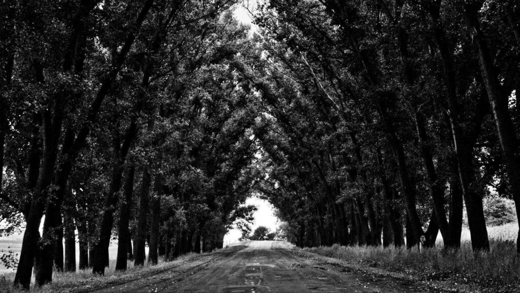 明大前駅 喫煙所 明大前駅周辺の喫煙所事情