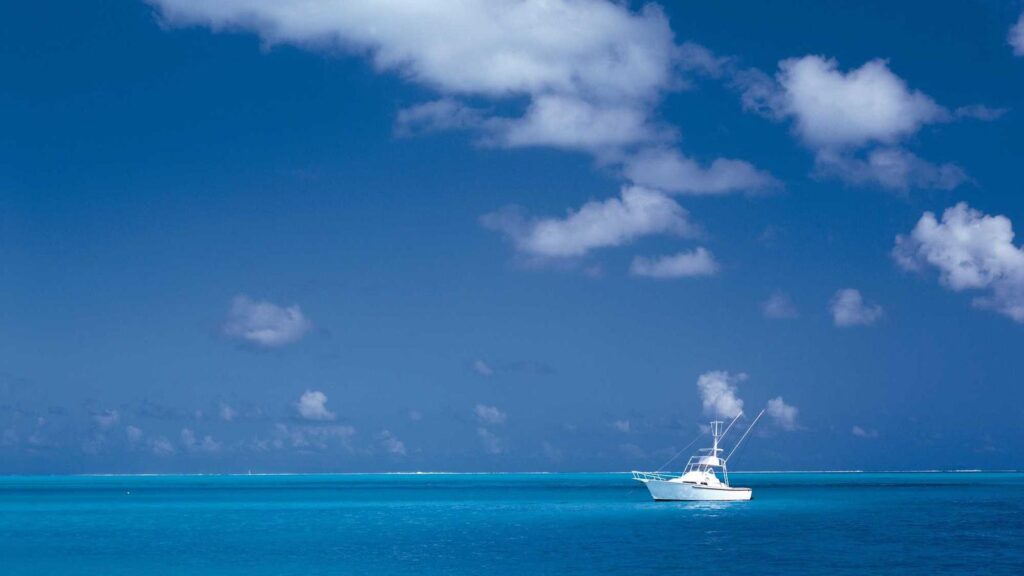 睡眠 サプリ 市販 購入前に確認したいセルフチェック