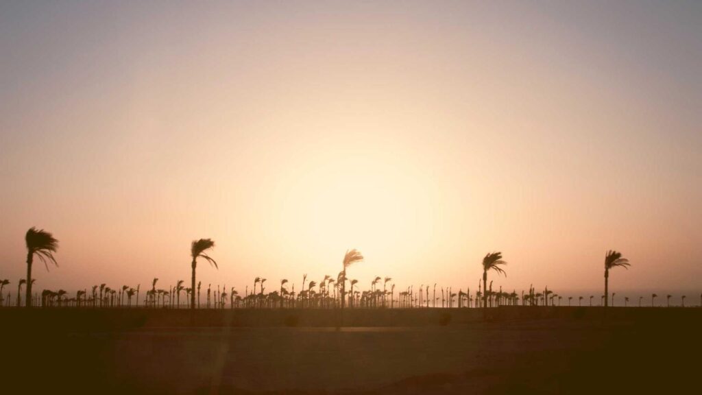 明大前 ラーメン まとめ