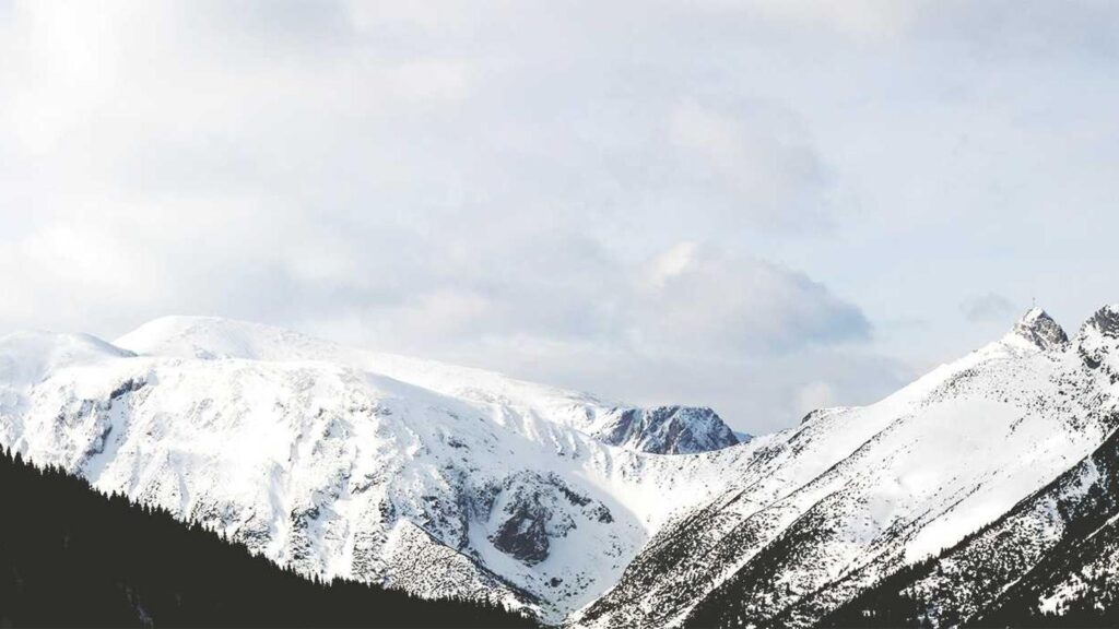 原宿 カフェ インスタ 6. KAWI MONSTER CAFE HARAJUKU