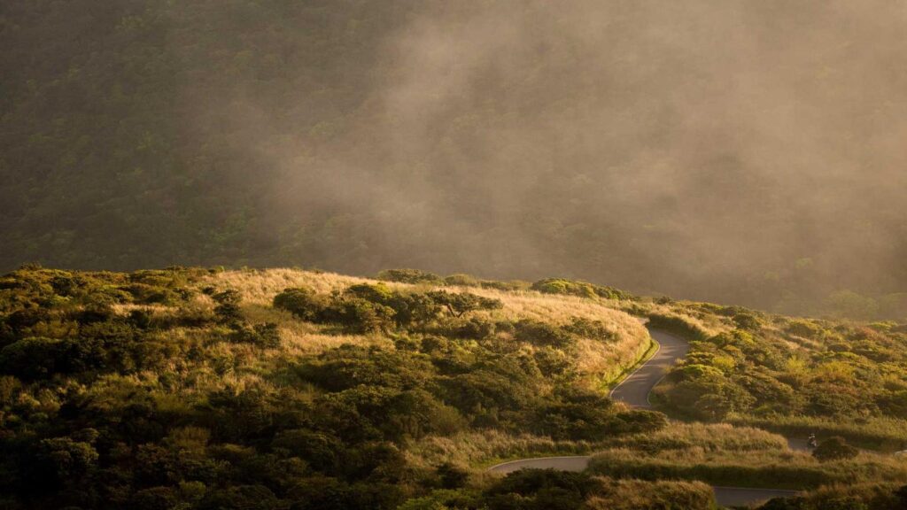 都立家政駅 カフェ 6. カフェ フェリーチェ