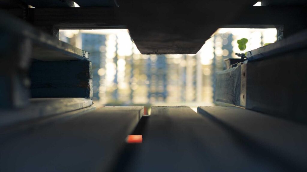 美容家電 おすすめ 安い 安い美容家電のおすすめは？