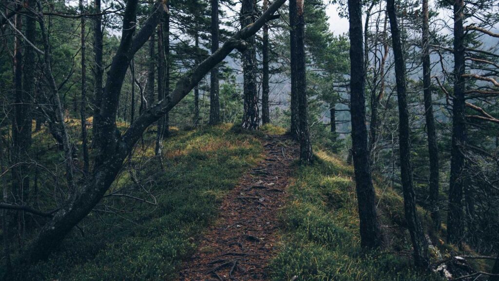 三越前駅 ランチ 洋食のおすすめランチスポット