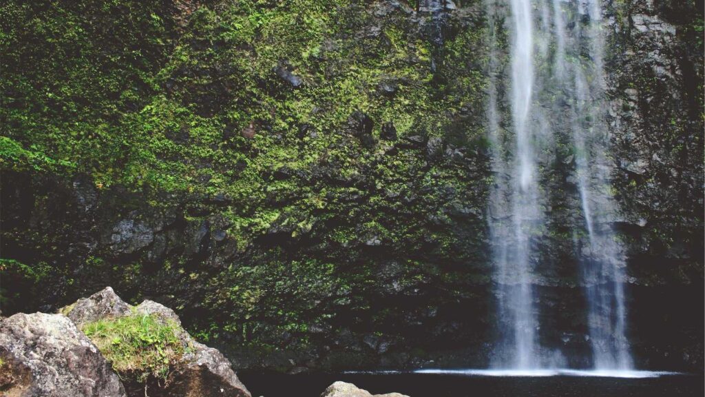 表参道駅 ラーメン まとめ
