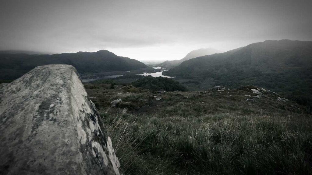 美容家電 おすすめ 30代 美顔器の選び方とおすすめモデルは？