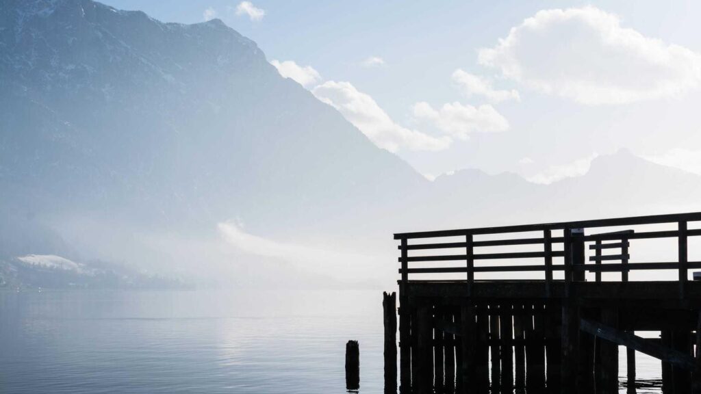 板橋区役所前駅 ラーメン 中華ソバ 伊吹：煮干しラーメンの最高峰