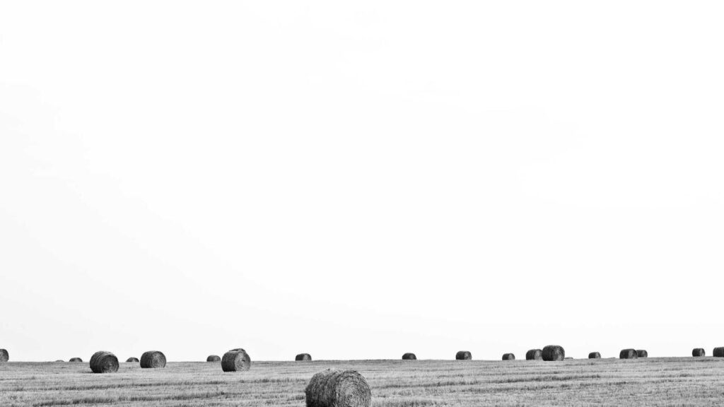 中野坂上 ラーメン 中華蕎麦 蘭鋳：煮干しの香り高い中華そば