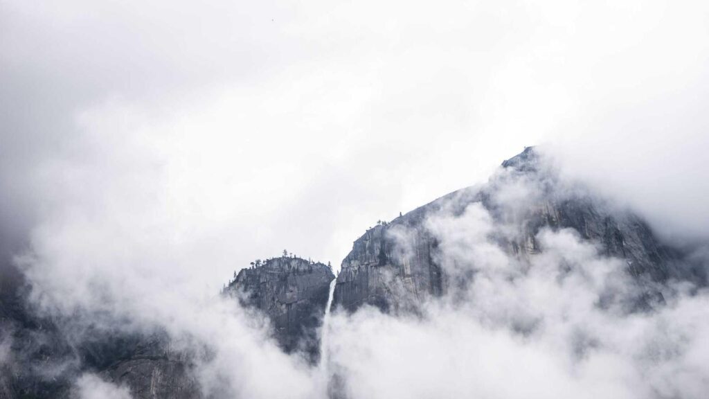 中野 定食 コスパ まとめ
